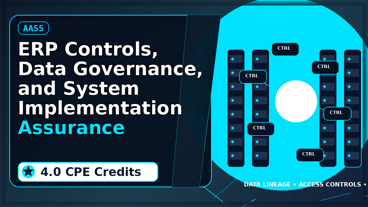 ERP Controls, Data Governance, and System Implementation Assurance