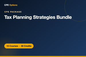 Tax Planning Strategies Bundle