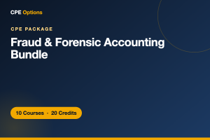 Fraud & Forensic Accounting Bundle
