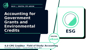 Accounting for Government Grants and Environmental Credits