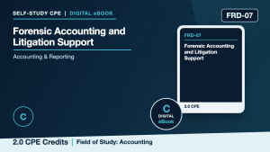 Forensic Accounting and Litigation Support