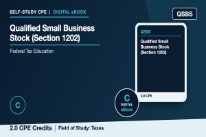 Qualified Small Business Stock (Section 1202)