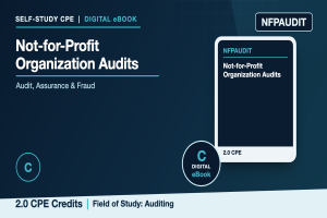 Not-for-Profit Organization Audits