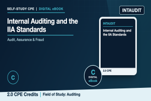 Internal Auditing and the IIA Standards