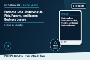 Business Loss Limitations: At-Risk, Passive, and Excess Business Losses