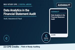 Data Analytics in the Financial Statement Audit