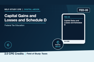Capital Gains and Losses and Schedule D