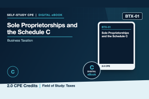 Sole Proprietorships and the Schedule C