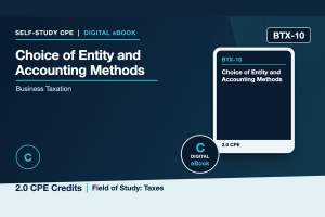 Choice of Entity and Accounting Methods for Small Businesses