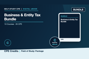 Business & Entity Tax Bundle