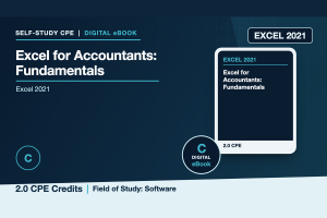 Microsoft Excel 2021 for Accountants: Fundamentals