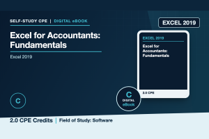 Microsoft Excel 2019 for Accountants: Fundamentals