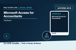 Microsoft Access 2019 for Accountants