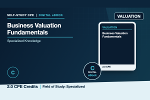 Business Valuation Fundamentals