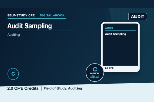 Audit Sampling