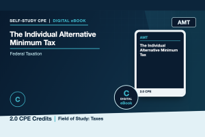 The Individual Alternative Minimum Tax