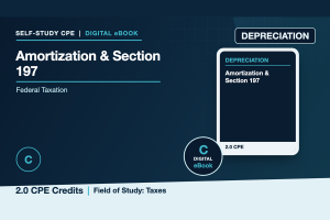 Depreciation, Amortization, and Section 197 Intangibles